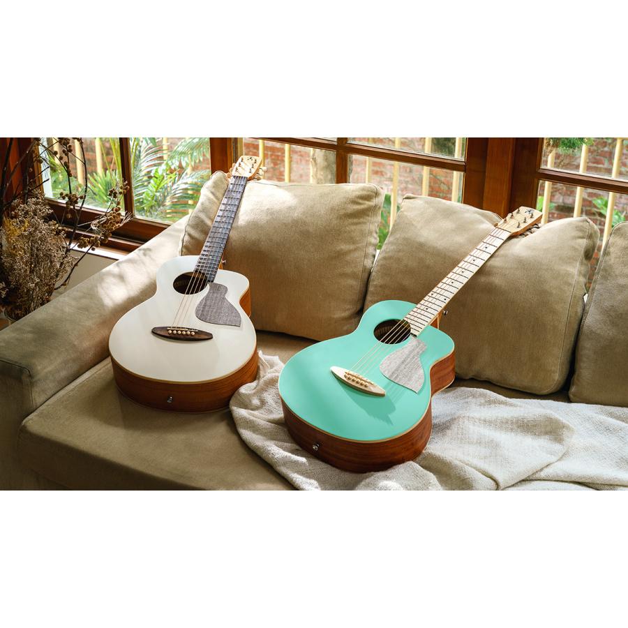 aNueNue アヌエヌエ aNN-MC10 アコースティックギター ミニギター