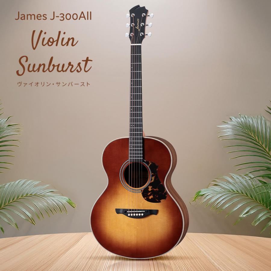 James JCL650 ジェームス アコースティックギター トップ単板 James