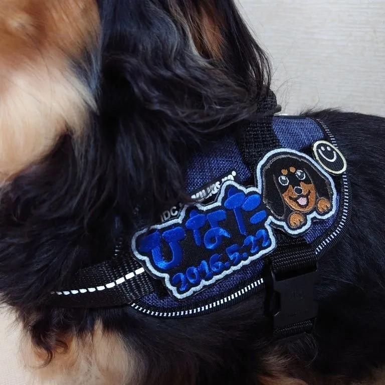 犬 ハーネス ユリウスk9 ネームタグ 名前入り ワッペン 刺繍 MIX犬