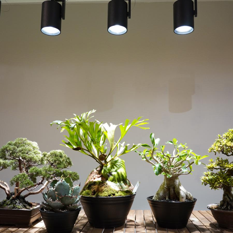 BARREL公式 植物育成ライト led スポットライト HADES（ハデス）45W