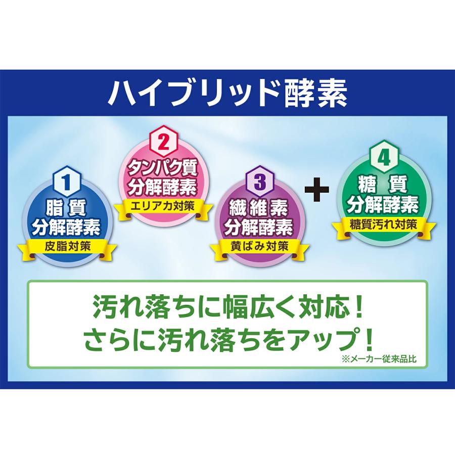 洗剤 洗濯用洗剤 粉末洗剤 日本製 善玉バイオ洗剤 ハイブリッド浄 1.3