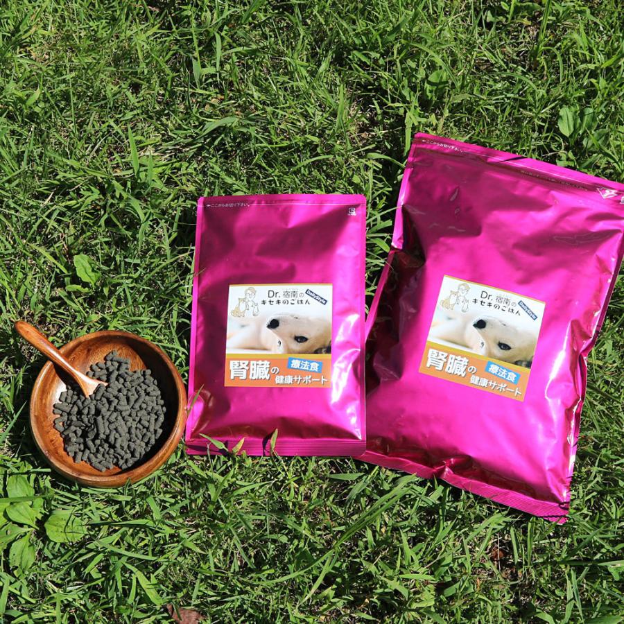Dr.宿南のキセキのごはん ドッグフード 腎臓の健康サポート 犬用療法食