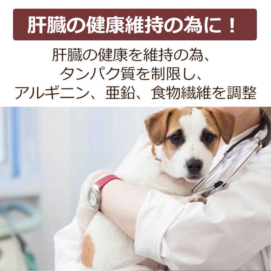 Dr.宿南のキセキのごはん 肝臓の健康サポート ドッグフード 犬用療法食