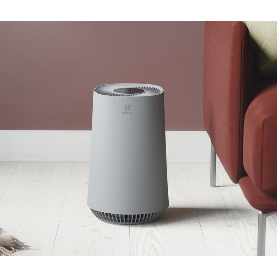 エレクトロラックス（Electrolux） Electrolux FA31-202 FLOW A3 空気