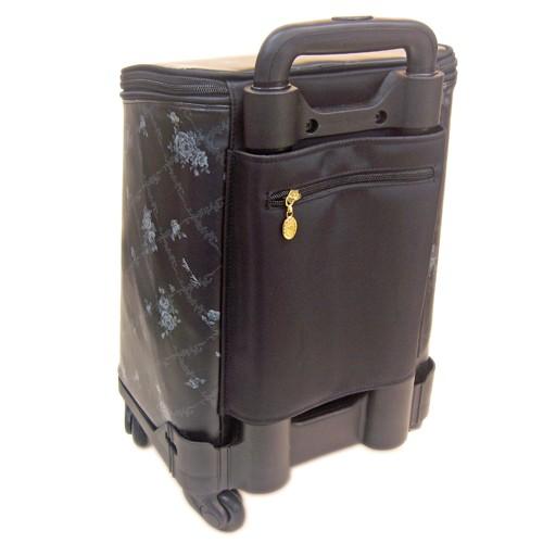 レイクアルスター 4輪カート (小) Lake Alster ショッピングカート S