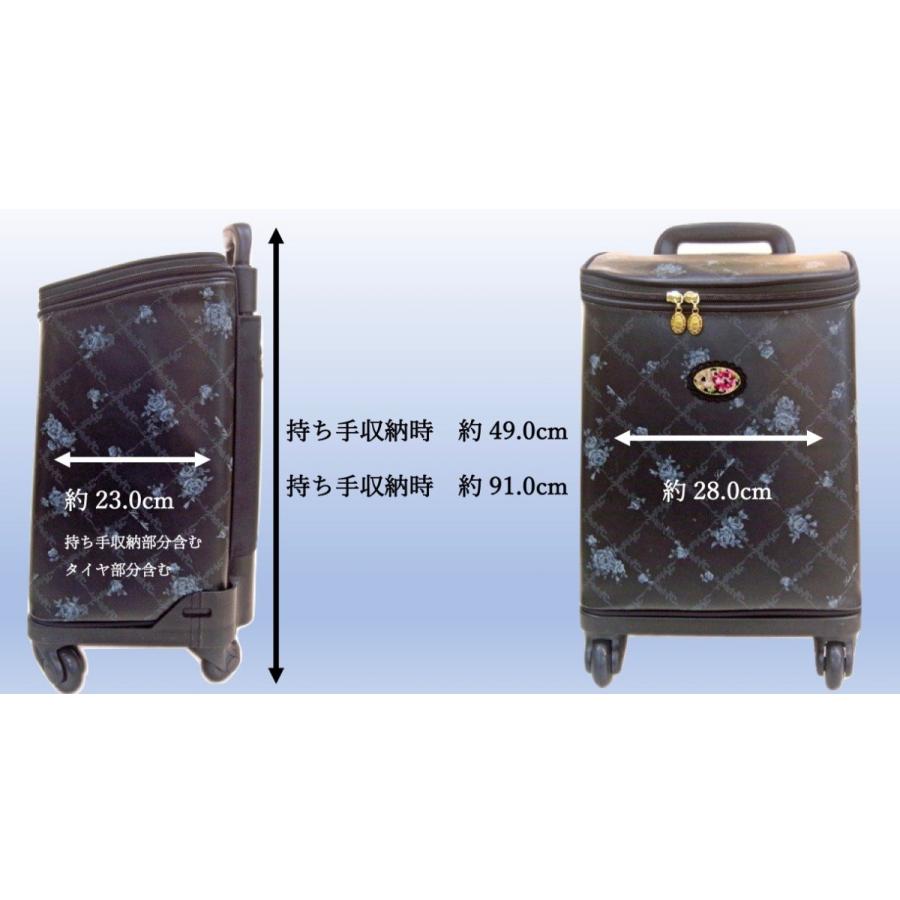 レイクアルスター 4輪カート (小) Lake Alster ショッピングカート S