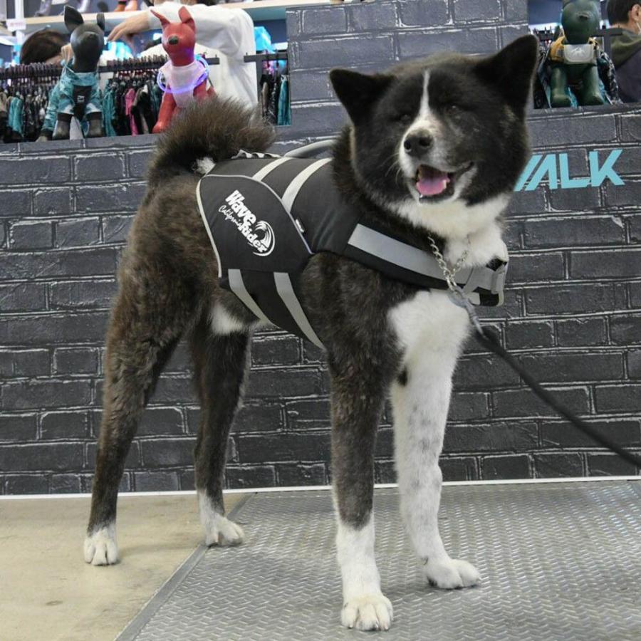 GEWALK ジウォーク ウェーブライダー ライフベスト Lサイズ カラー4色