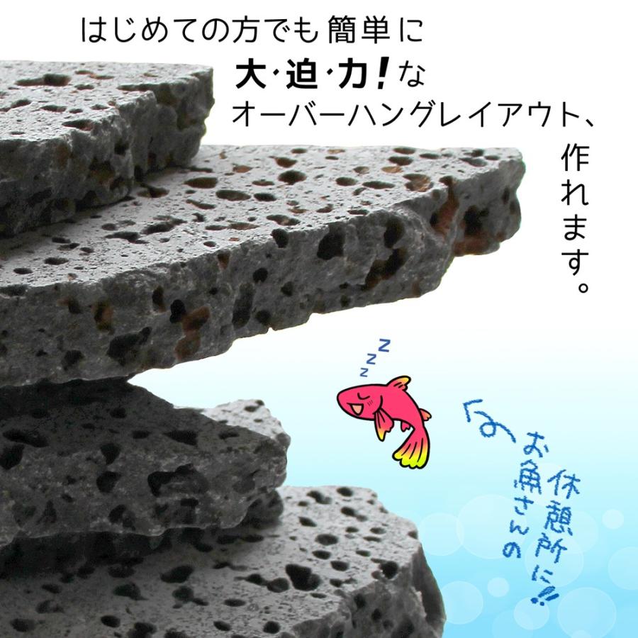 大迫力溶岩石インテリア