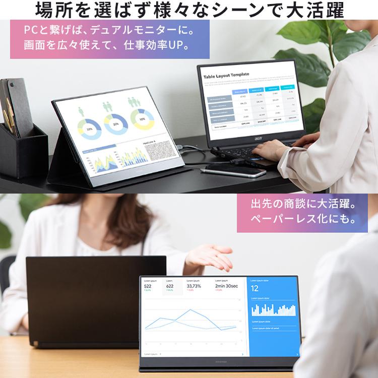 IRIS OHYAMA（アイリスオーヤマ） ポータブルモニター ILD-A1616MS-B