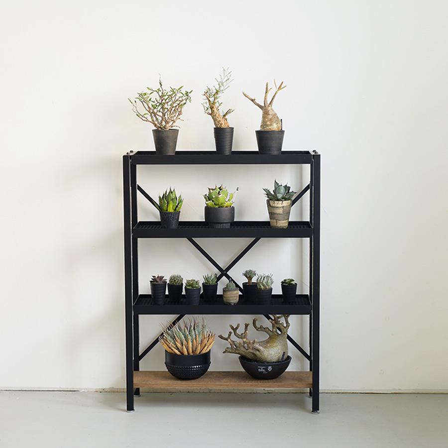 ボタニカルラック 耐荷重70kg | SULK 国産 グリーンラック 植物ラック