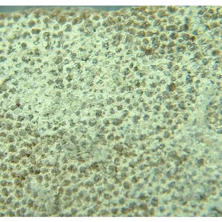 恐竜の卵（サルタザウルス）の化石2032 : ラピス - 通販 - Yahoo