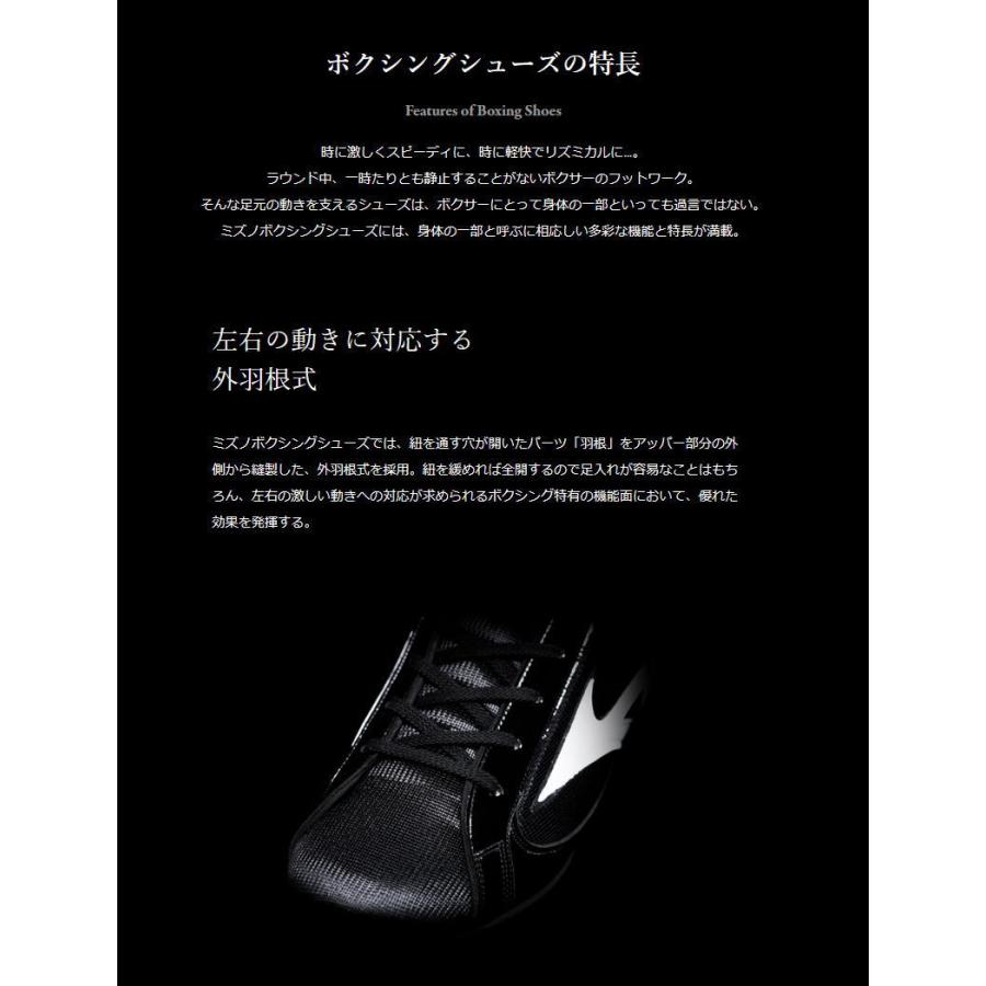 MIZUNO（ミズノ） ボクシングシューズ メンズ レディース 21GA231012