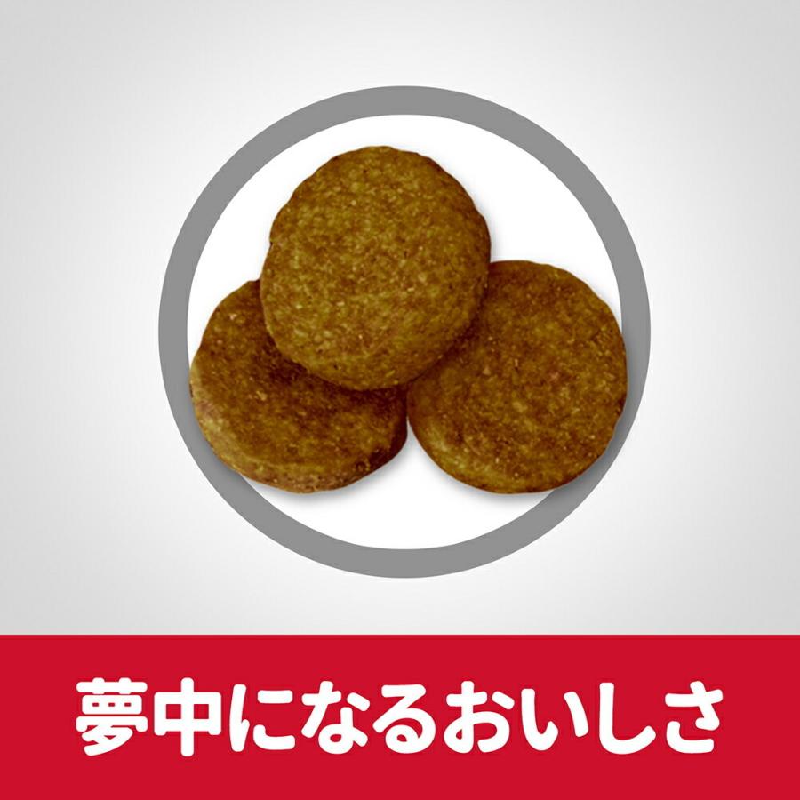 サイエンス・ダイエット 【12kg×2袋】ヒルズ 大型犬用 アダルト ライト