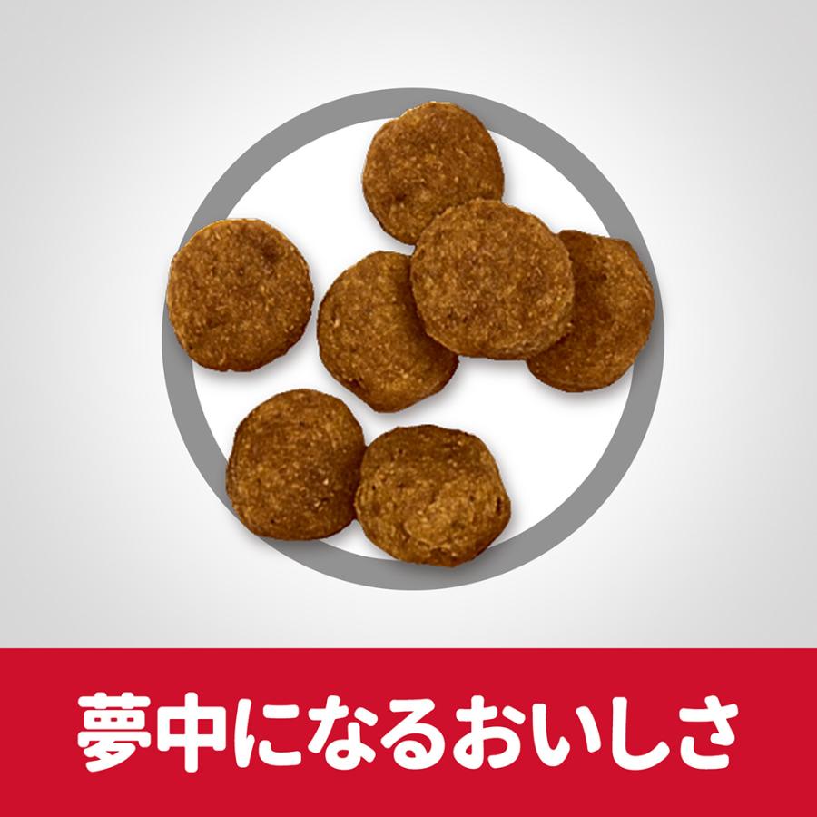 サイエンス・ダイエット ヒルズ アダルト 小粒 1~6歳 成犬用 チキン
