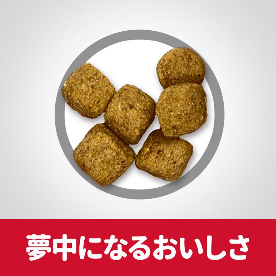 サイエンス・ダイエット ヒルズ シニア ライト 小粒 7歳以上 肥満傾向