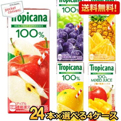 キリン（KIRIN） 送料無料 トロピカーナ 午後の紅茶 生茶 200ml 250ml