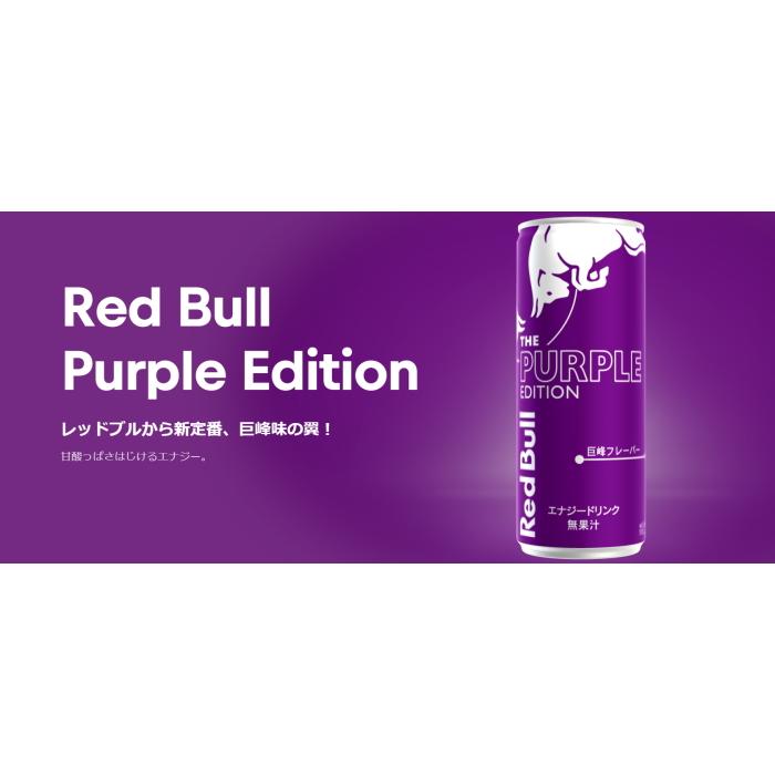 レッドブル（RedBull） 送料無料 エナジードリンク 250ml缶 48本(24本