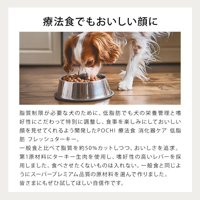 POCHI（ポチ） 食事療法食 消化器ケア 低脂肪 フレッシュターキー 3kg