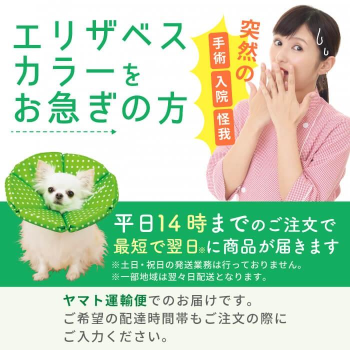 PomPreece（ポンポリース） エリザベスカラー ソフト 犬 猫 ペット