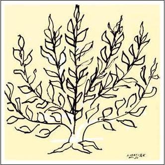 アートポスター 低木-リトグラフ-680×680mm マティス -おしゃれ