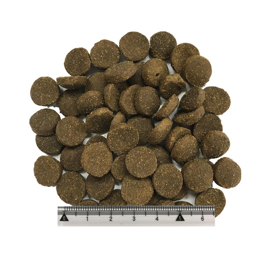 アカナクラシック レッドミートレシピ 9.7kg : ペットゴー ヤフー店