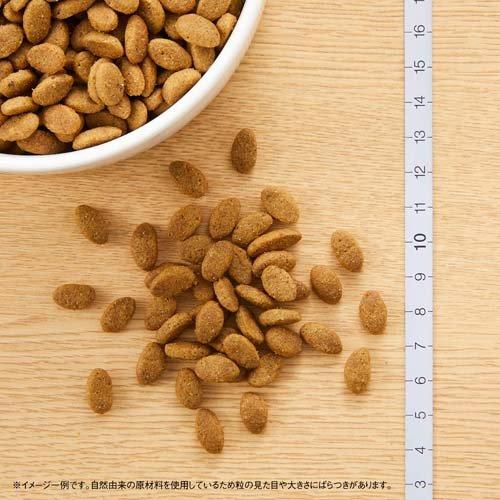 ニュートロ シュプレモ 小型犬用 成犬用 3kg ドッグフード