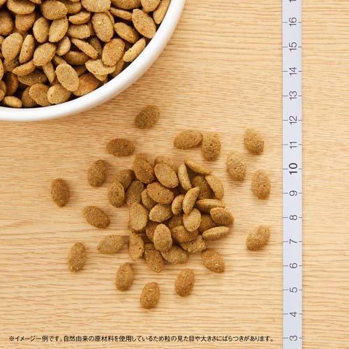 ニュートロ シュプレモ 超小型犬〜小型犬用 体重管理用 3kg 成犬用