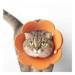 Mサイズ 花 エリザベスカラー オレンジ ペット用 No.844 : 価格