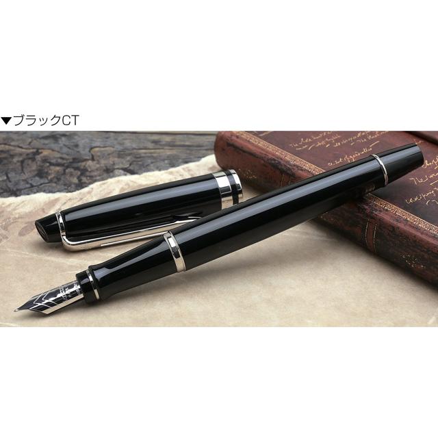 WATERMAN（ウォーターマン） 万年筆 名入れ 18K 18金 エキスパート