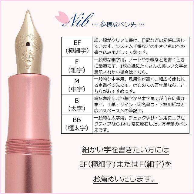 Kaweco（カヴェコ） 万年筆 ペント 限定生産品 アルスポーツ サクラ
