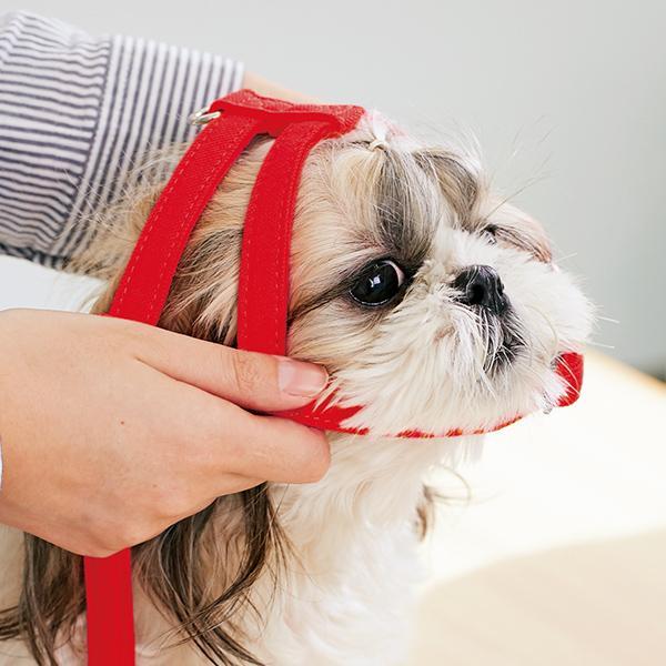 PEPPY（ペピイ） 抜けにくいショルダーハーネス M レッドチェック