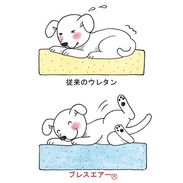 PEPPY（ペピイ） 老犬 シニア フィーヌエアーマット Lサイズ 介護用品