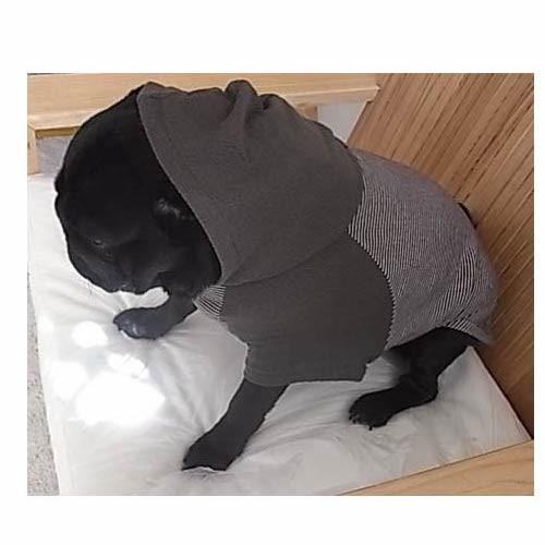 A4印刷型紙 犬服フード付きTシャツ(S〜LL/ハンドメイド/洋裁/ミシン