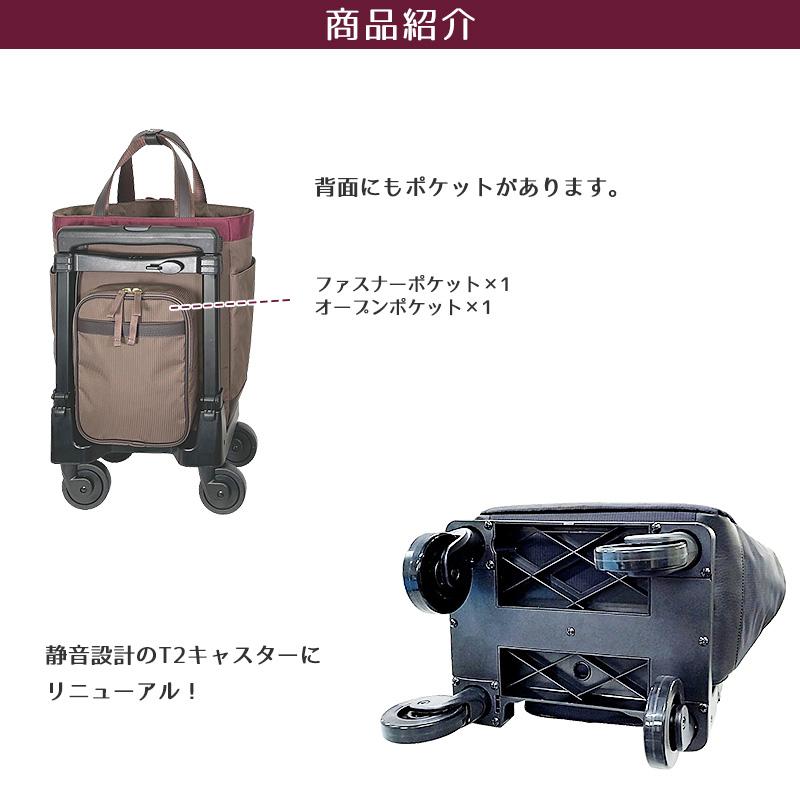 SWANY D640 Mサイズ ルバンド キャリーバック グレージュ色 スワニー