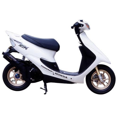 BURIAL(ベリアル) ステルス ライブDIO-ZX H01-02-00 バイク カスタム