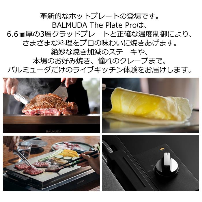 BALMUDA（バルミューダ） 家事ヤロウ!!!で紹介 ザ・プレート プロ