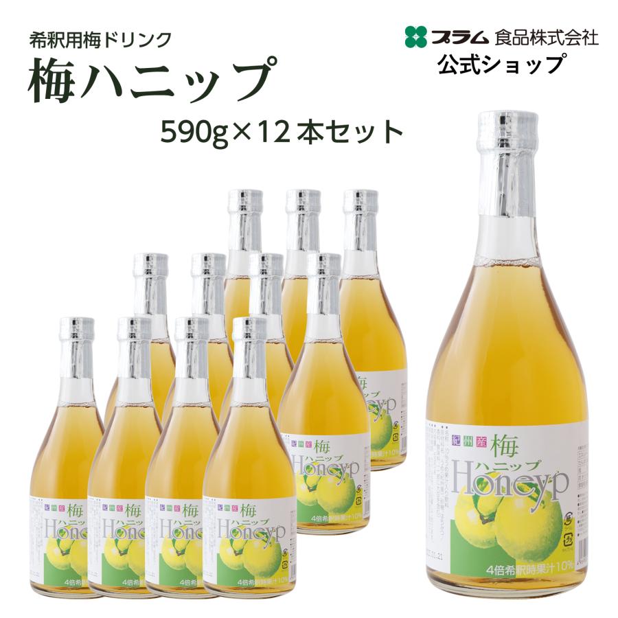 プラム食品 梅シロップ 梅ハニップ 希釈用 梅ドリンク 原液 590g 12本