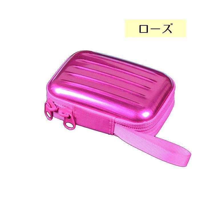 446 イヤホン11本 セット ハードケース、cayin n5 ii 付き 446