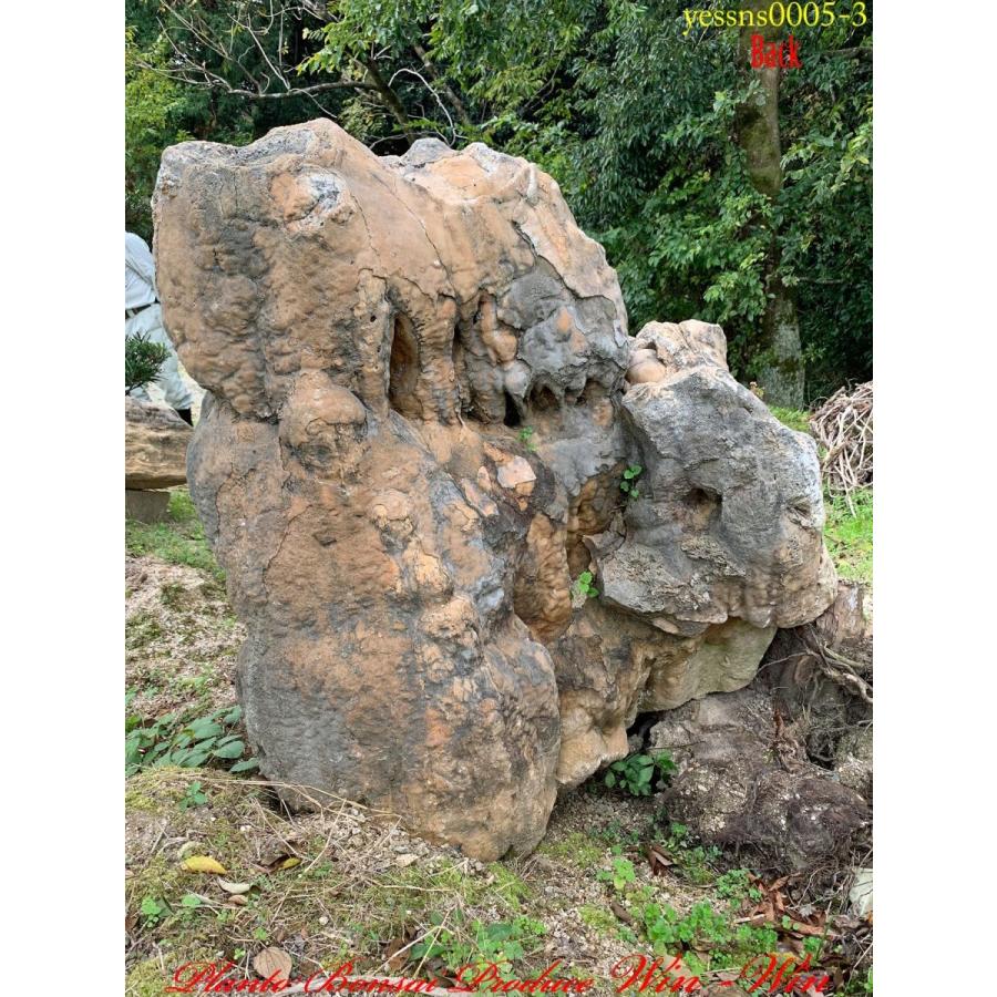 2019年 庭石 鍾乳石(ショウニュウセキ)No5 : PLANT・BONSAI・Produce