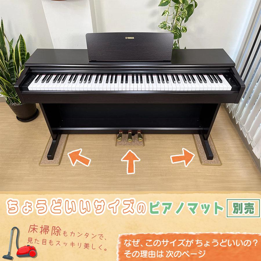 CASIO（カシオ） 【最短翌日お届け】電子ピアノ 88鍵盤 CELVIANO AP