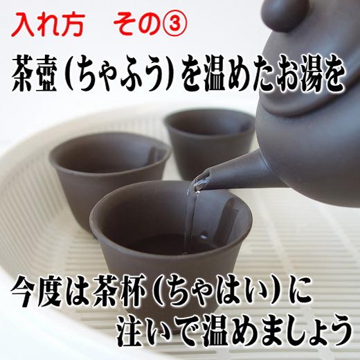 送料無料 朱泥陶器 中国茶 茶器セット 中国茶器セット 急須 ポット