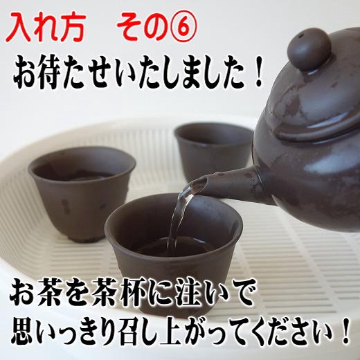 送料無料 朱泥陶器 中国茶 茶器セット 中国茶器セット 急須 ポット