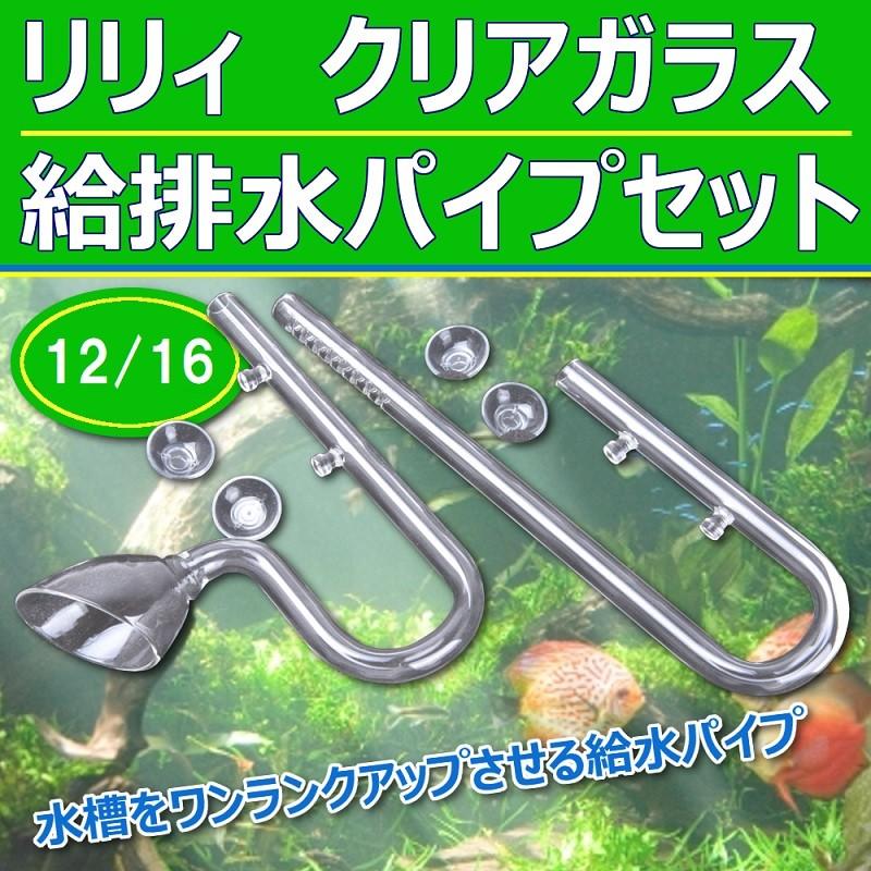 リリィ クリア ガラス 給水 排水 ポピー 12/16 パイプ セット ガラス