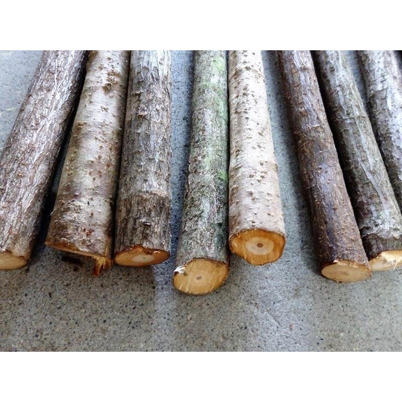 石屋玄能の柄 400mm (牛殺しの柄、自然木）1本 : プロヤマ - 通販