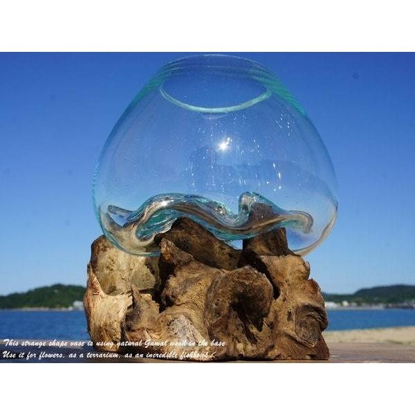 流木ガラスオブジェ大F 花瓶 金魚鉢 ガーデニング フラワーポット 水槽