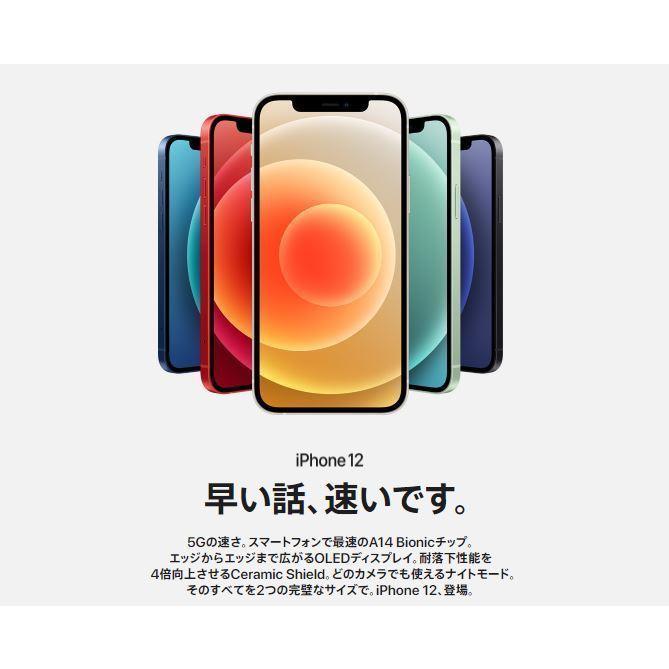 iPhone 12 「新品 未使用品 」SIMフリー iPhone12 64GB White ホワイト