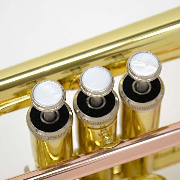 Jマイケル CT-420 コルネット セミハードケース付属 トランペットから