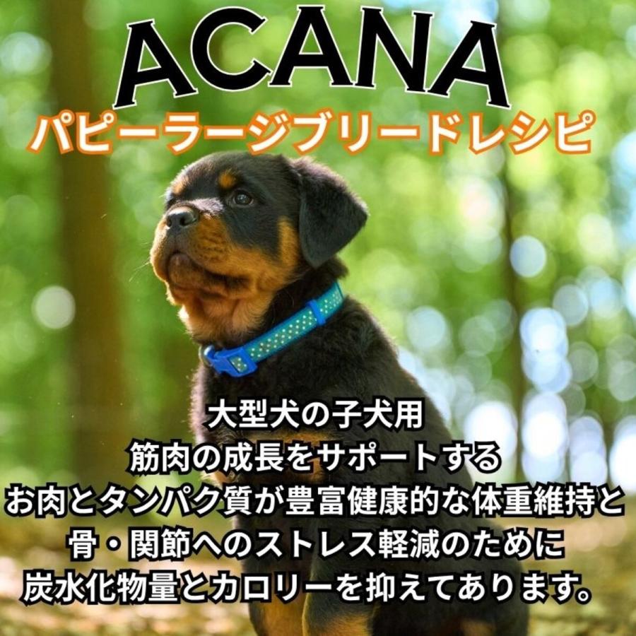 並行輸入品】 アカナ パピー ラージブリード レシピ 大型犬 子犬用