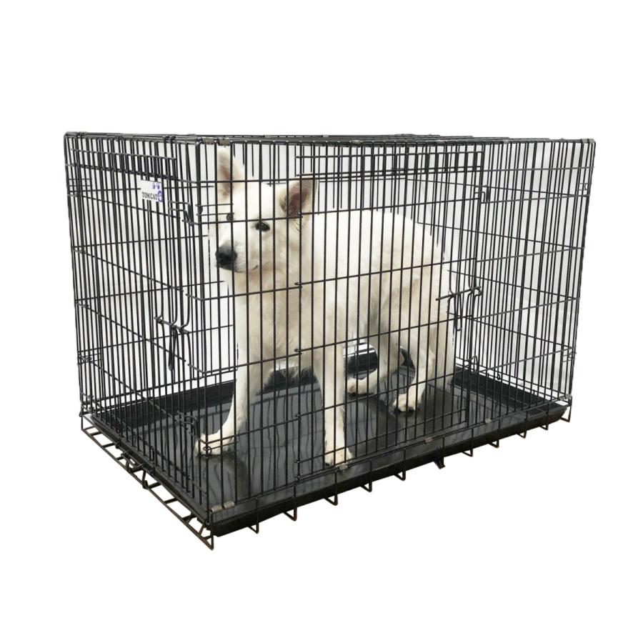 TOM CAT（トムキャット） プロクレイト 6000（旧最強クレイト6000