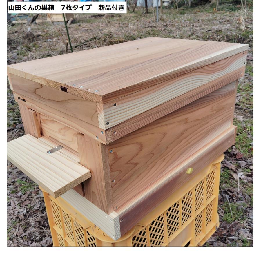 西洋ミツバチ 種蜂 越冬4枚充群 盛りかけ巣礎枠1枚 山田くんのミツバチ